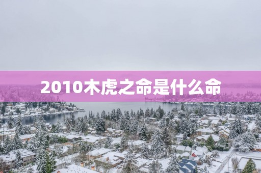 2010木虎之命是什么命