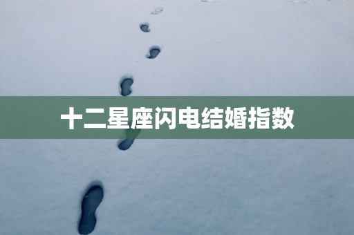 十二星座闪电结婚指数