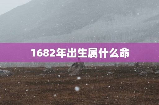 1682年出生属什么命