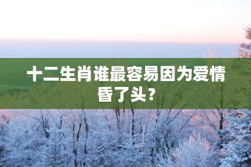 十二生肖谁最容易因为爱情昏了头？