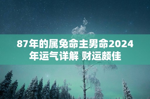 87年的属兔命主男命2025年运气详解 财运颇佳