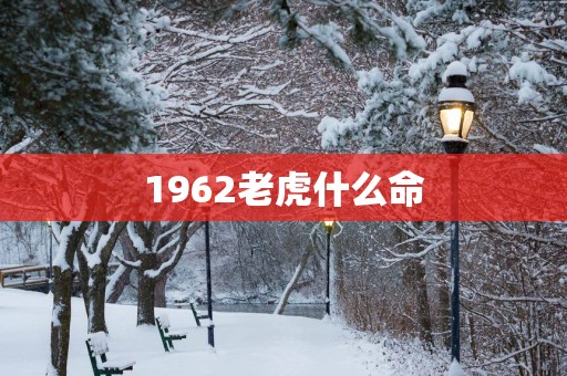 1962老虎什么命