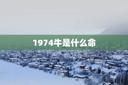 1974牛是什么命