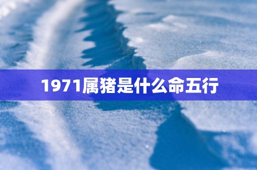 1971属猪是什么命五行