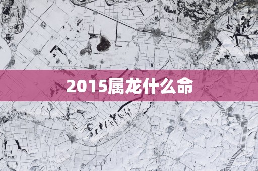 2015属龙什么命