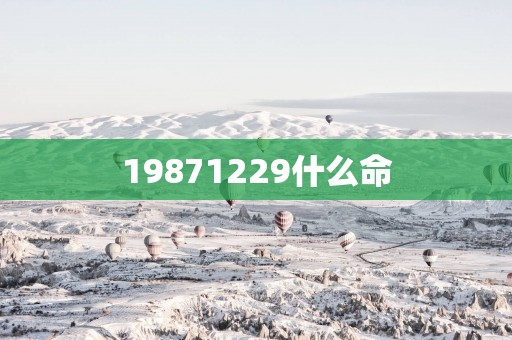 19871229什么命