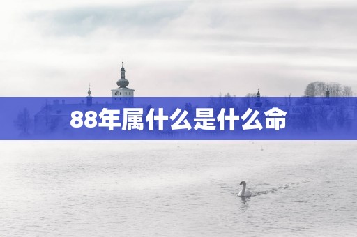 88年属什么是什么命
