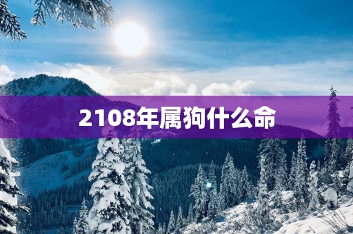 2108年属狗什么命