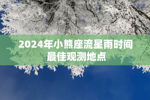 2025年小熊座流星雨时间 最佳观测地点