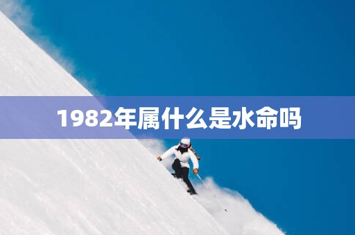 1982年属什么是水命吗