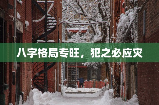 八字格局专旺，犯之必应灾
