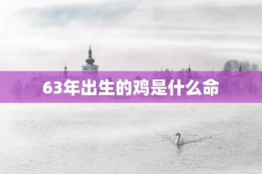 63年出生的鸡是什么命