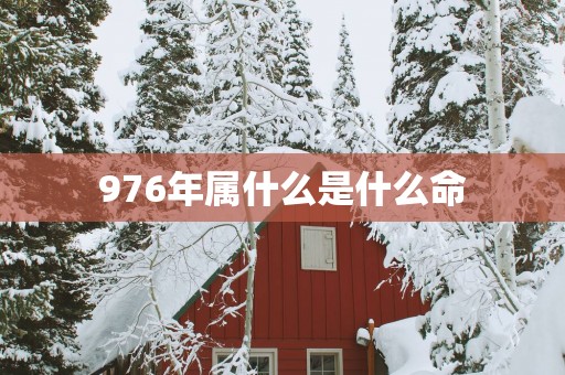 976年属什么是什么命