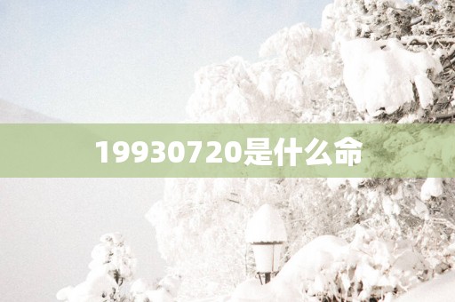 19930720是什么命
