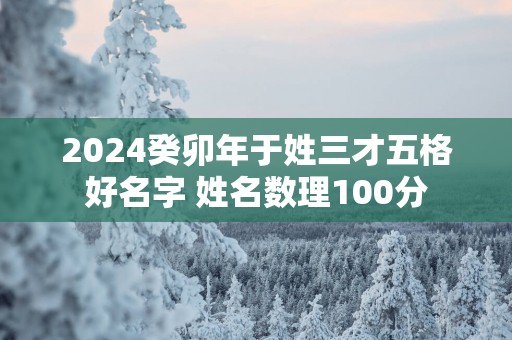 2025癸卯年于姓三才五格好名字 姓名数理100分
