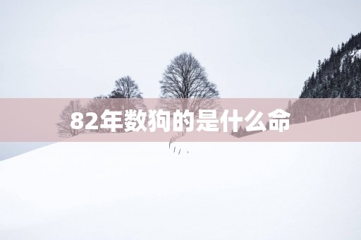 82年数狗的是什么命
