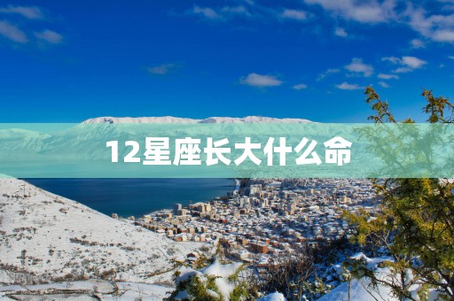 12星座长大什么命