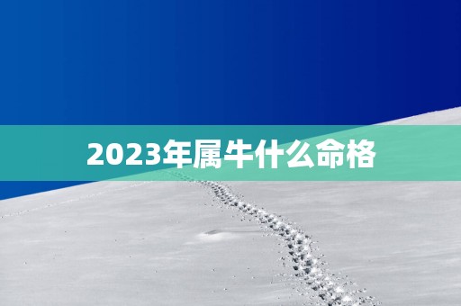 2025年属牛什么命格