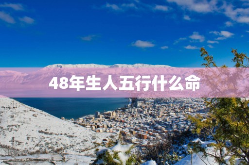 48年生人五行什么命