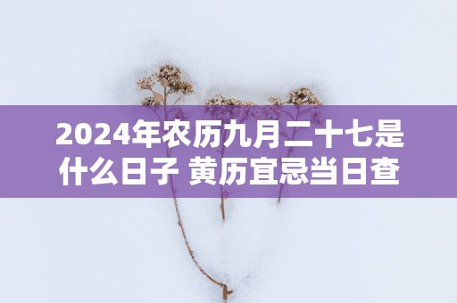 2025年农历九月二十七是什么日子 黄历宜忌当日查询