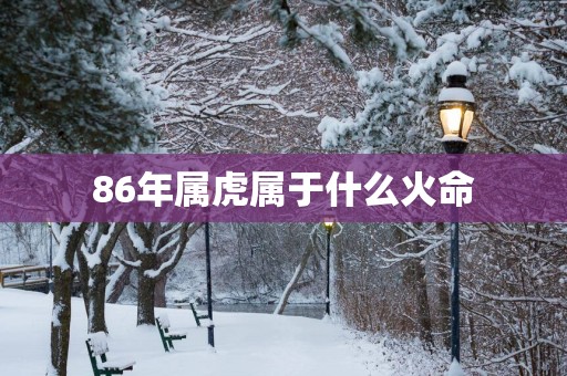 86年属虎属于什么火命