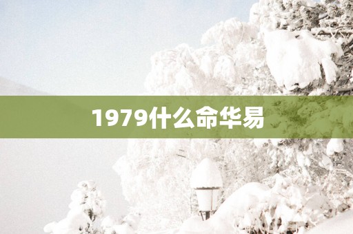 1979什么命华易