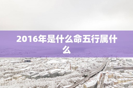 2016年是什么命五行属什么
