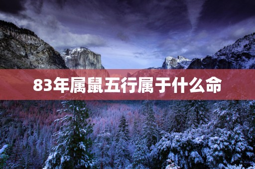 83年属鼠五行属于什么命