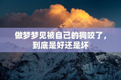 做梦梦见被自己的狗咬了，到底是好还是坏