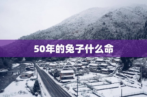 50年的兔子什么命