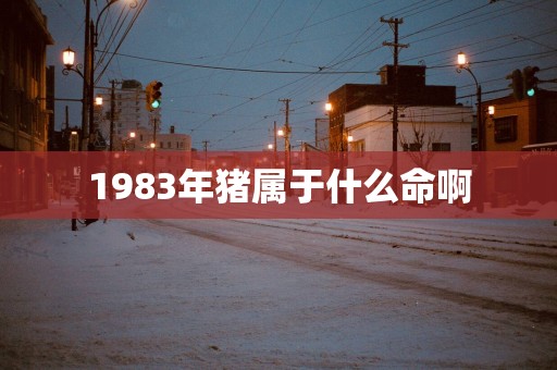 1983年猪属于什么命啊