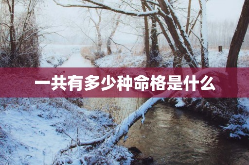 一共有多少种命格是什么