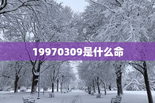 19970309是什么命