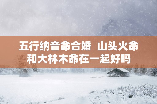 五行纳音命合婚  山头火命和大林木命在一起好吗
