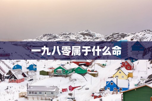 一九八零属于什么命