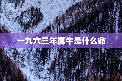 一九六三年属牛是什么命