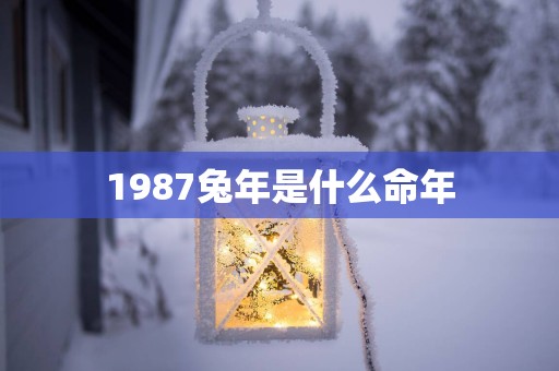 1987蛇年是什么命年