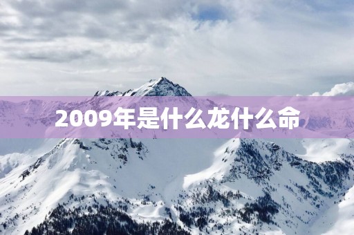 2009年是什么龙什么命
