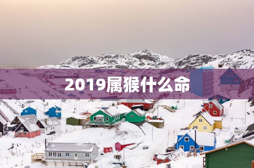 2019属猴什么命