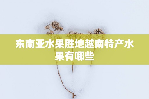 东南亚水果胜地越南特产水果有哪些