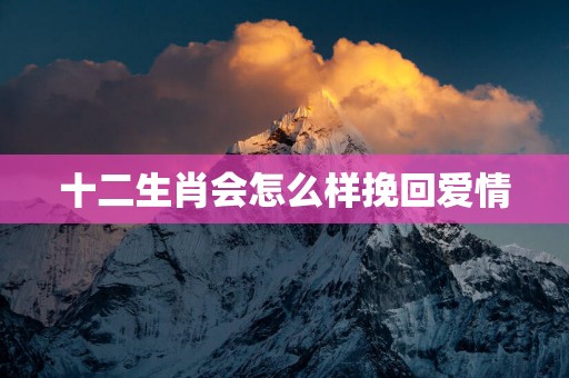 十二生肖会怎么样挽回爱情