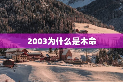 2003为什么是木命