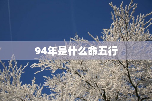 94年是什么命五行