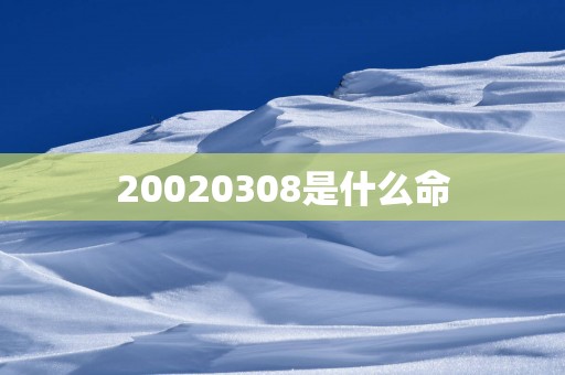 20020308是什么命