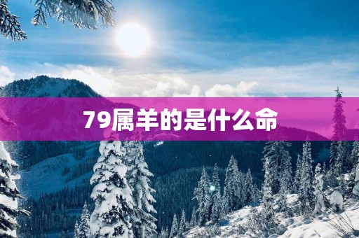 79属羊的是什么命