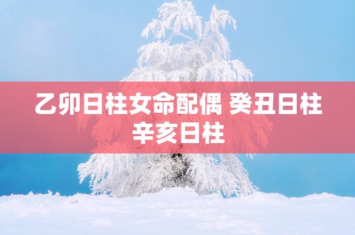 乙卯日柱女命配偶 癸丑日柱辛亥日柱