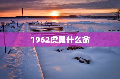 1962虎属什么命