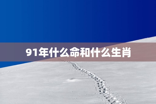 91年什么命和什么生肖
