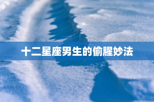 十二星座男生的偷腥妙法