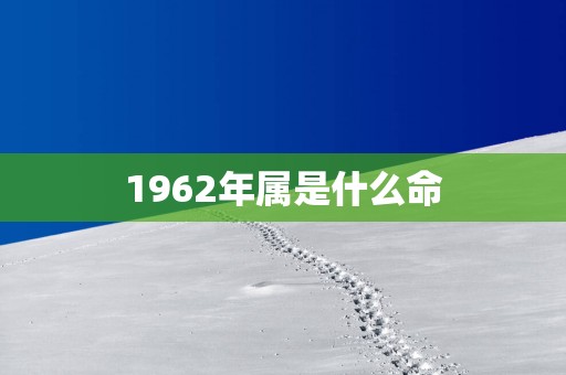 1962年属是什么命